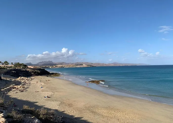 Daire Arilvia Good Vibes Only *